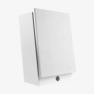 Loa không dây System Audio Silver Back One