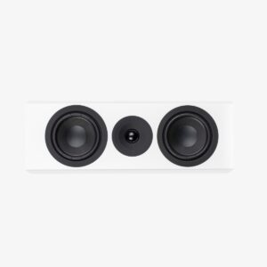 Loa không dây System Audio 10.2 Silverback